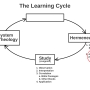 learning_cycle_bwd_03b_hermeneutics_explanation_no.jpg