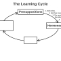 learning_cycle_fwd_04_hermeneutics.jpg