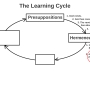learning_cycle_fwd_06_hermeneutics_2schools_no.jpg
