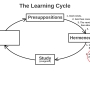 learning_cycle_fwd_07_study.jpg