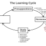 learning_cycle_fwd_08_study_method.jpg