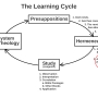 learning_cycle_fwd_09_system.jpg