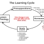 learning_cycle_00_complete.jpg