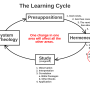 learning_cycle_00_complete.png