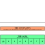 tcd_chart_general_03_covenants.jpg