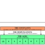 tcd_chart_general_04_dispensations.jpg