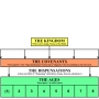 tcd_chart_general_06_delegation_steward-kings_mediators.jpg